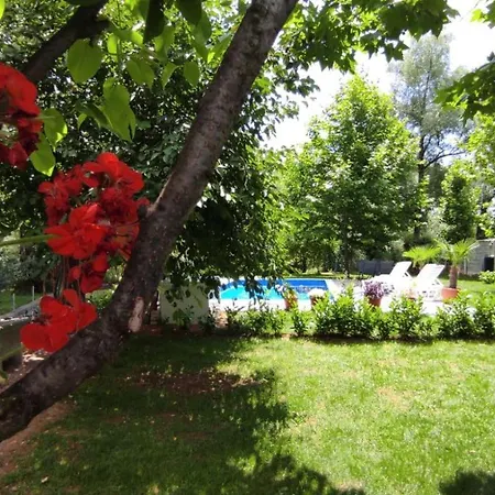 Natura بيت ضيافة *