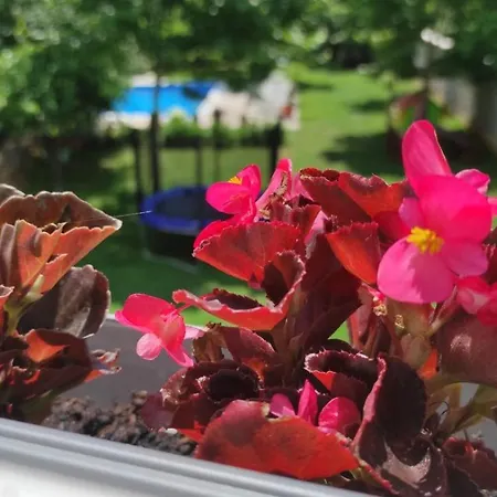 Natura بيت ضيافة بلاغاي