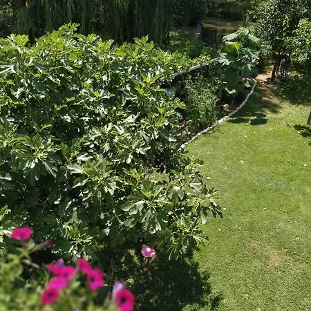 Natura * بلاغاي