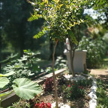 Affittacamere Natura